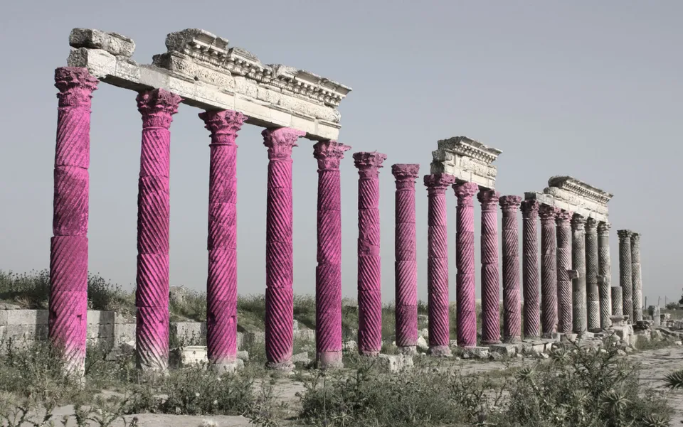 Image of the Apamea columns tinted pink to show the grid system