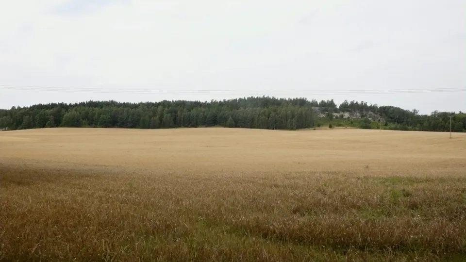 A bare field in the Swedish countryside