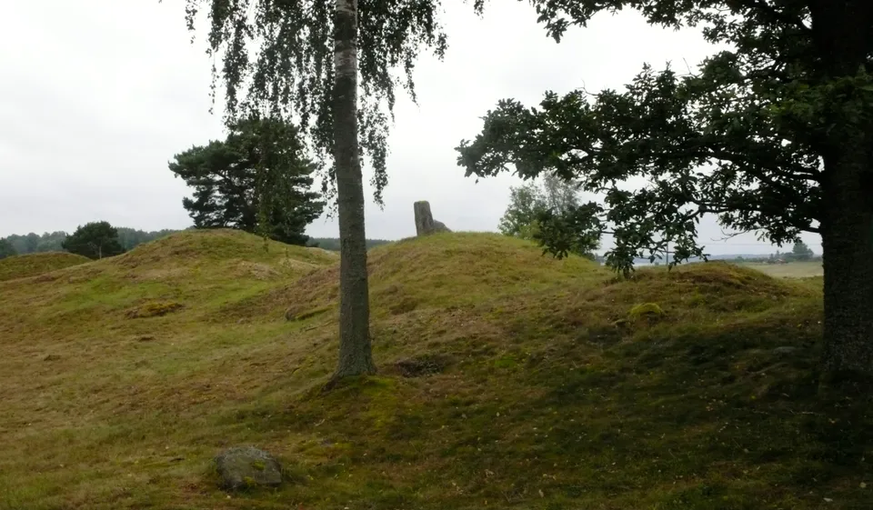 Blaman stone in a Swedish field